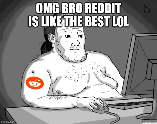 Average Redditor | OMG BRO REDDIT IS LIKE THE BEST LOL | image tagged in average redditor | made w/ Imgflip meme maker