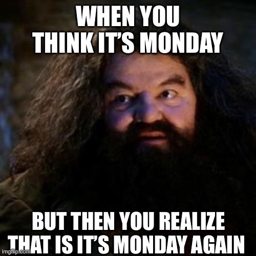 When you think it is Monday | WHEN YOU THINK IT’S MONDAY; BUT THEN YOU REALIZE THAT IS IT’S MONDAY AGAIN | image tagged in you're a wizard harry | made w/ Imgflip meme maker