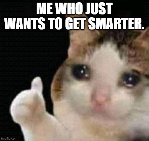 sad thumbs up cat | ME WHO JUST WANTS TO GET SMARTER. | image tagged in sad thumbs up cat | made w/ Imgflip meme maker