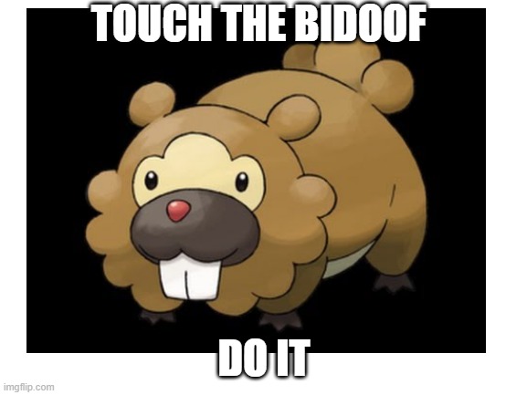 THOUCH IT | TOUCH THE BIDOOF; DO IT | image tagged in bidoof | made w/ Imgflip meme maker