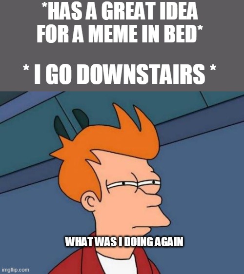 my life | *HAS A GREAT IDEA FOR A MEME IN BED*; * I GO DOWNSTAIRS *; WHAT WAS I DOING AGAIN | image tagged in memes,futurama fry | made w/ Imgflip meme maker