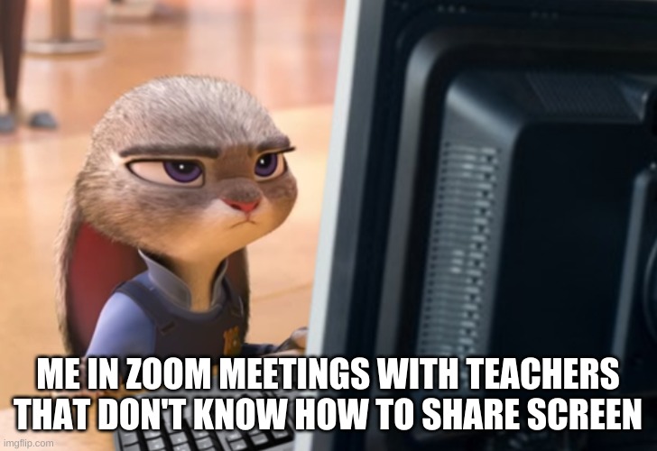 Zoomer Boomer | ME IN ZOOM MEETINGS WITH TEACHERS THAT DON'T KNOW HOW TO SHARE SCREEN | image tagged in memes | made w/ Imgflip meme maker