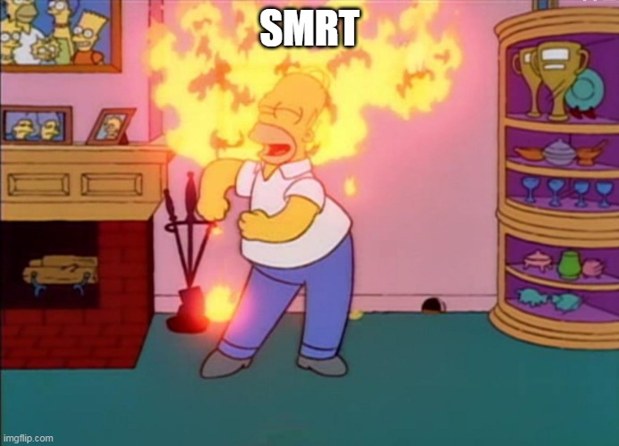 I am so smart smrt | SMRT | image tagged in i am so smart smrt | made w/ Imgflip meme maker