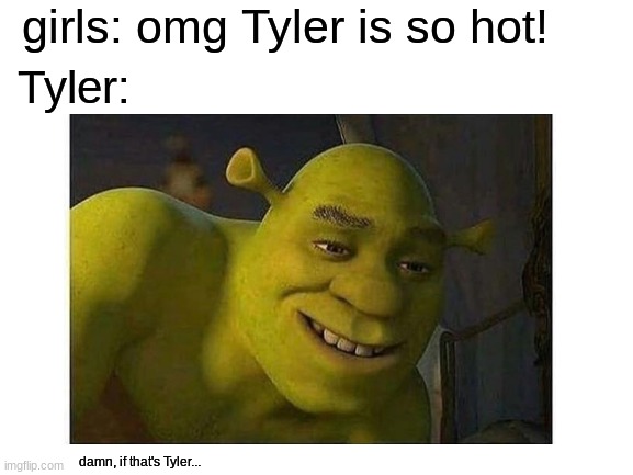 Tyler meme | girls: omg Tyler is so hot! Tyler:; damn, if that's Tyler... | image tagged in memes,shrek sexy face,shrek,funny,school meme | made w/ Imgflip meme maker