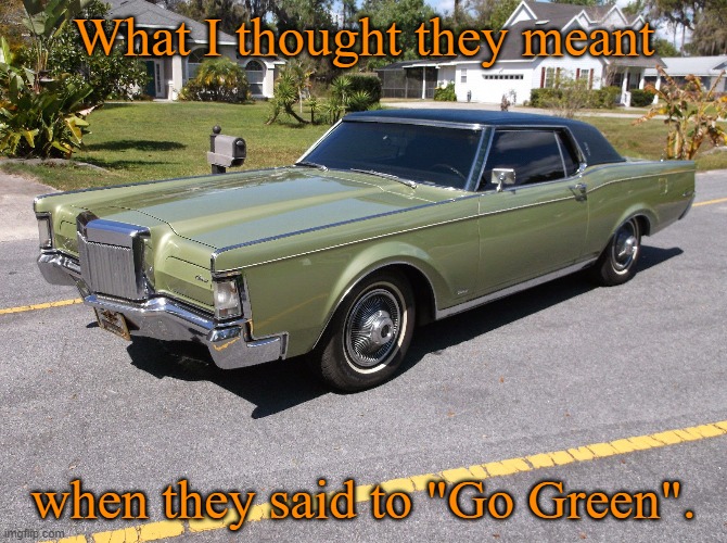 Maybe it was just wishful thinking on my part. :/ | What I thought they meant; when they said to "Go Green". | image tagged in memes,i love lincolns,go green | made w/ Imgflip meme maker