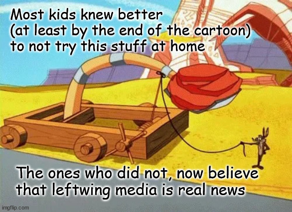 Wile E Coyote | Most kids knew better 
(at least by the end of the cartoon) 
to not try this stuff at home; The ones who did not, now believe 
that leftwing media is real news | image tagged in wile e coyote | made w/ Imgflip meme maker