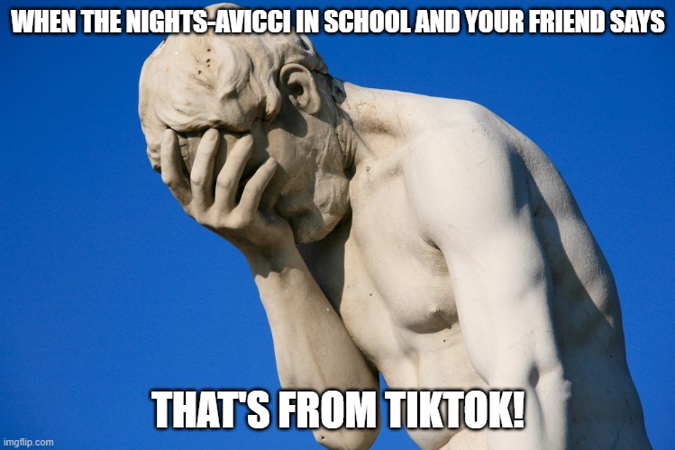 like this happened yesterday | WHEN THE NIGHTS-AVICCI IN SCHOOL AND YOUR FRIEND SAYS; THAT'S FROM TIKTOK! | image tagged in embarrassed statue | made w/ Imgflip meme maker