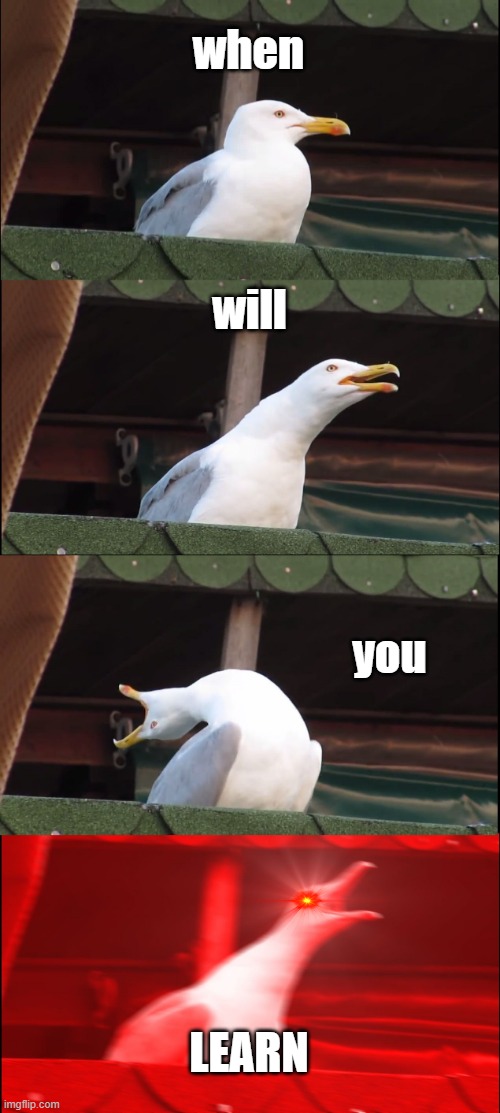 Inhaling Seagull Meme | when; will; you; LEARN | image tagged in memes,inhaling seagull | made w/ Imgflip meme maker