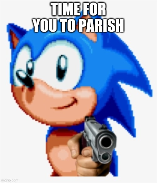 Sonic gun pointed | TIME FOR YOU TO PARISH | image tagged in sonic gun pointed | made w/ Imgflip meme maker