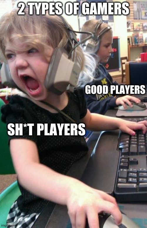 Angry Gamer Girl | 2 TYPES OF GAMERS; GOOD PLAYERS; SH*T PLAYERS | image tagged in angry gamer girl | made w/ Imgflip meme maker
