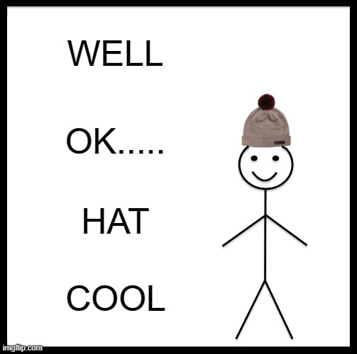HAT NIOCE | WELL; OK..... HAT; COOL | image tagged in memes,be like bill | made w/ Imgflip meme maker