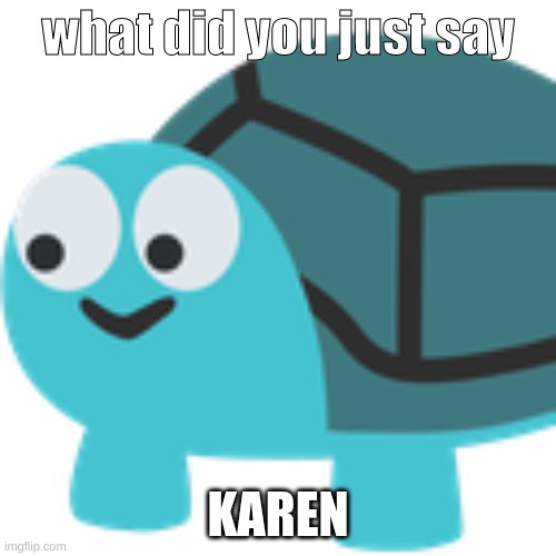 karen bad | what did you just say; KAREN | image tagged in omg karen | made w/ Imgflip meme maker