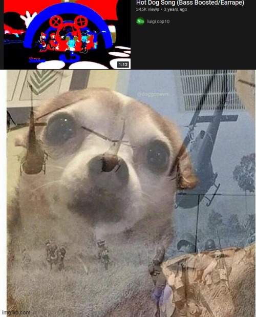 image tagged in ptsd chihuahua | made w/ Imgflip meme maker