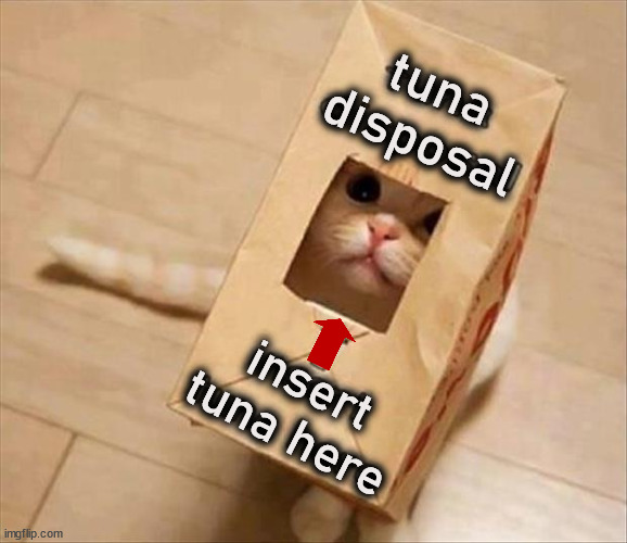 tuna
disposal; insert
tuna here | image tagged in cats | made w/ Imgflip meme maker