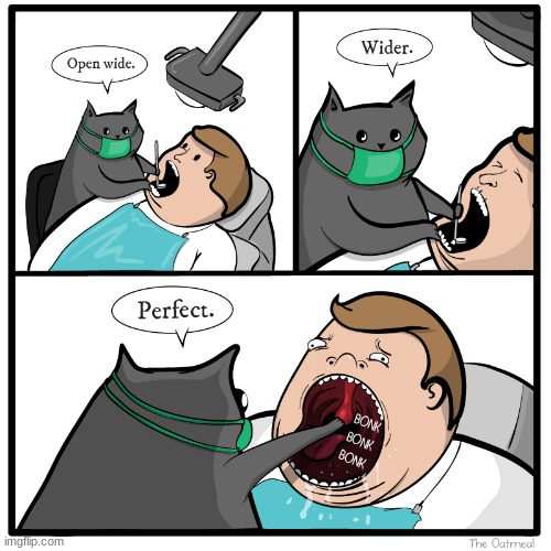 dentist cat | image tagged in web comics,memes,funny | made w/ Imgflip meme maker