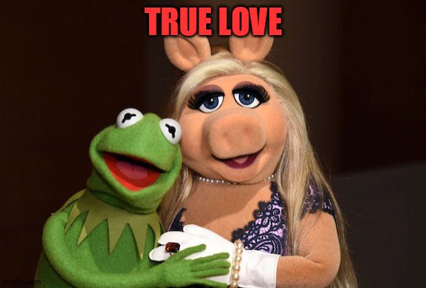 kermit & miss piggy | TRUE LOVE | image tagged in kermit miss piggy | made w/ Imgflip meme maker