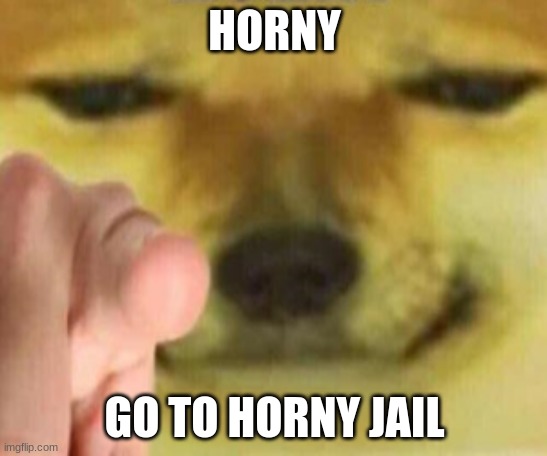 Cheems Pointing At You |  HORNY; GO TO HORNY JAIL | image tagged in cheems pointing at you | made w/ Imgflip meme maker