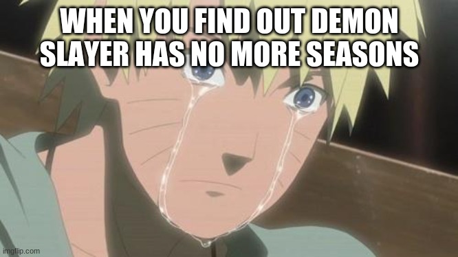Bruh | WHEN YOU FIND OUT DEMON SLAYER HAS NO MORE SEASONS | image tagged in finishing anime | made w/ Imgflip meme maker