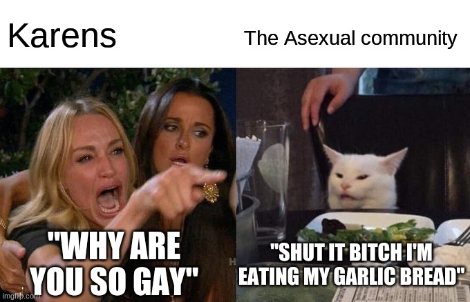 Stupid bish | Karens; The Asexual community; "WHY ARE YOU SO GAY"; "SHUT IT BITCH I'M EATING MY GARLIC BREAD" | image tagged in memes,woman yelling at cat | made w/ Imgflip meme maker