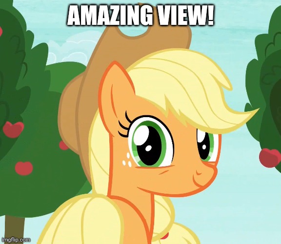 AMAZING VIEW! | made w/ Imgflip meme maker