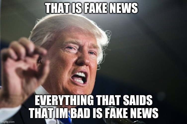 fake news | THAT IS FAKE NEWS; EVERYTHING THAT SAIDS THAT IM BAD IS FAKE NEWS | image tagged in donald trump | made w/ Imgflip meme maker