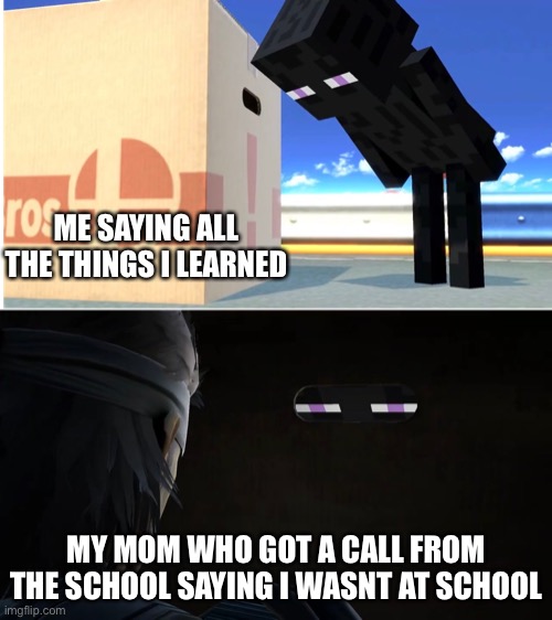 She knows. | ME SAYING ALL THE THINGS I LEARNED; MY MOM WHO GOT A CALL FROM THE SCHOOL SAYING I WASNT AT SCHOOL | image tagged in enderman and snake | made w/ Imgflip meme maker