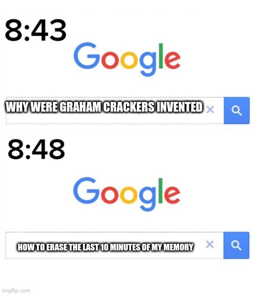look it up and you'll get this | WHY WERE GRAHAM CRACKERS INVENTED; HOW TO ERASE THE LAST 10 MINUTES OF MY MEMORY | image tagged in google before after | made w/ Imgflip meme maker