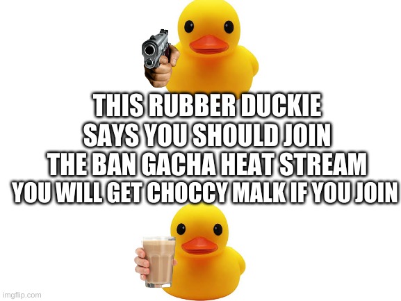 if you know what gacha life or club is, this applies to u |  THIS RUBBER DUCKIE SAYS YOU SHOULD JOIN THE BAN GACHA HEAT STREAM; YOU WILL GET CHOCCY MALK IF YOU JOIN | image tagged in blank white template | made w/ Imgflip meme maker