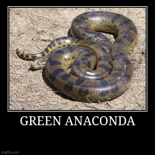 Green Anaconda | image tagged in demotivationals,anaconda | made w/ Imgflip demotivational maker