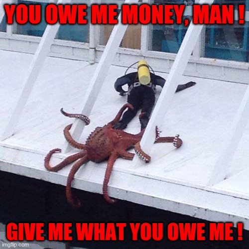 Octopus money | YOU OWE ME MONEY, MAN ! GIVE ME WHAT YOU OWE ME ! | image tagged in octopus,money | made w/ Imgflip meme maker