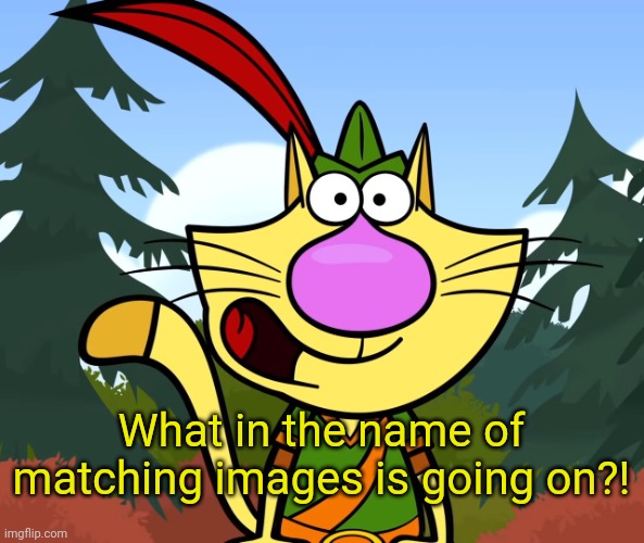 No Way!! (Nature Cat) | What in the name of matching images is going on?! | image tagged in no way nature cat | made w/ Imgflip meme maker