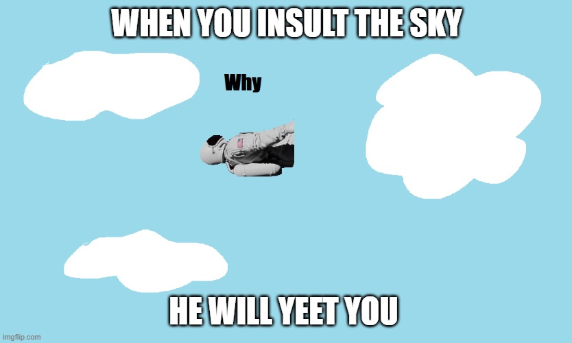 Don't Insult The Sky. | WHEN YOU INSULT THE SKY; HE WILL YEET YOU | image tagged in always has been,blue sky,memes | made w/ Imgflip meme maker