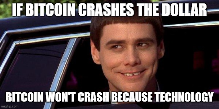 dumb and dumber | IF BITCOIN CRASHES THE DOLLAR; BITCOIN WON'T CRASH BECAUSE TECHNOLOGY | image tagged in dumb and dumber | made w/ Imgflip meme maker