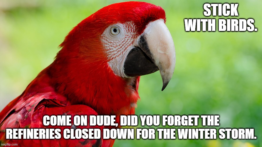 STICK WITH BIRDS. COME ON DUDE, DID YOU FORGET THE REFINERIES CLOSED DOWN FOR THE WINTER STORM. | image tagged in fuel prices | made w/ Imgflip meme maker