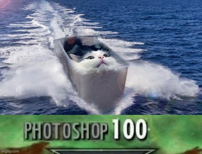 Cat photoshop | image tagged in photoshop 100,cats,cat,memes,meme,photoshop | made w/ Imgflip meme maker