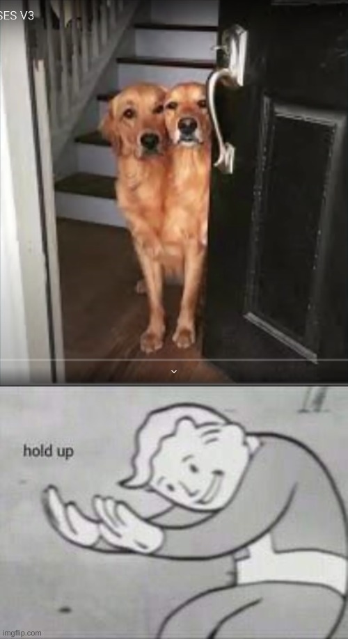 Double Dog | image tagged in fallout hold up | made w/ Imgflip meme maker