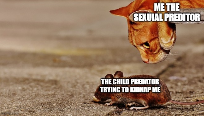 AND MANY MORE | ME THE SEXUIAL PREDITOR; THE CHILD PREDATOR TRYING TO KIDNAP ME | made w/ Imgflip meme maker
