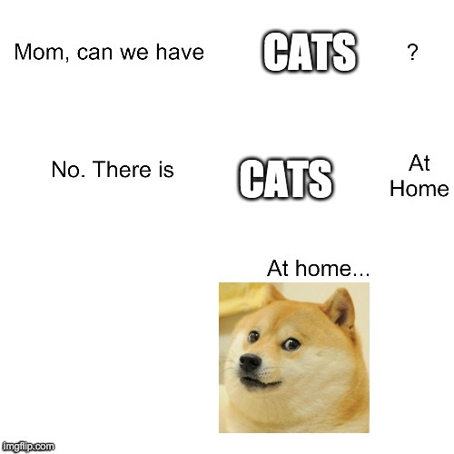 Mom can we have | CATS; CATS | image tagged in mom can we have | made w/ Imgflip meme maker
