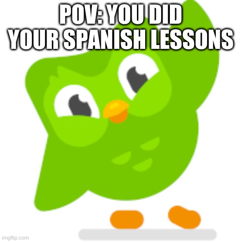 Duolingo bird high five | POV: YOU DID YOUR SPANISH LESSONS | image tagged in duolingo bird high five | made w/ Imgflip meme maker