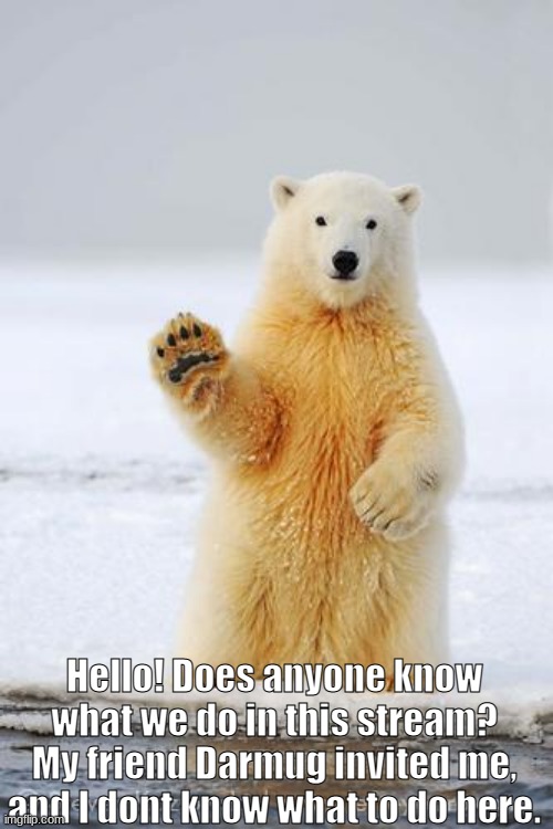 hello polar bear | Hello! Does anyone know what we do in this stream? My friend Darmug invited me, and I dont know what to do here. | image tagged in hello polar bear | made w/ Imgflip meme maker