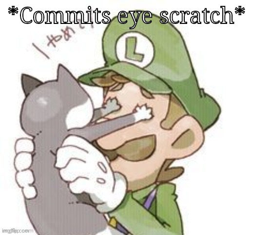 Luigi commits eye scratch | image tagged in luigi commits eye scratch | made w/ Imgflip meme maker