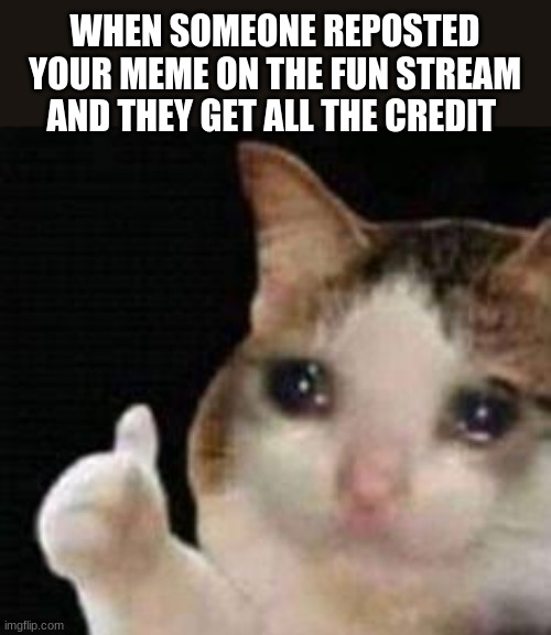 R.I.P. | WHEN SOMEONE REPOSTED YOUR MEME ON THE FUN STREAM AND THEY GET ALL THE CREDIT | image tagged in approved crying cat,relatable,memes,crying cat | made w/ Imgflip meme maker