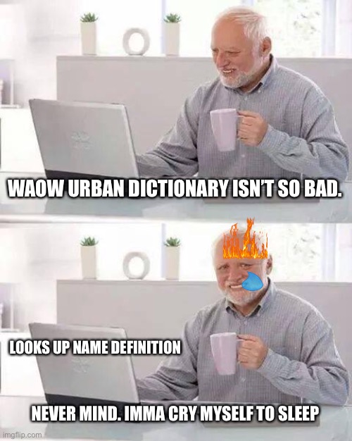 Hide the Pain Harold | WAOW URBAN DICTIONARY ISN’T SO BAD. LOOKS UP NAME DEFINITION; NEVER MIND. IMMA CRY MYSELF TO SLEEP | image tagged in memes,hide the pain harold | made w/ Imgflip meme maker
