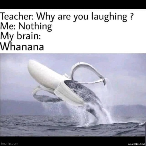 Whanana | made w/ Imgflip meme maker