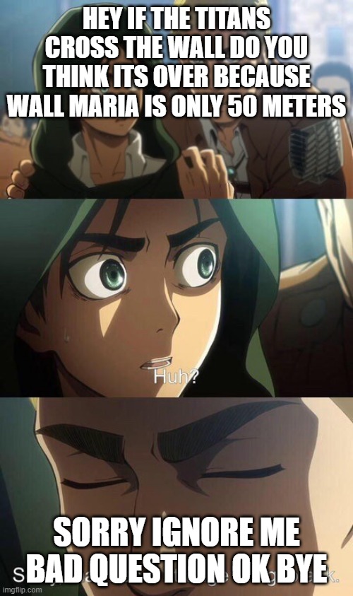 Strange question attack on titan | HEY IF THE TITANS CROSS THE WALL DO YOU THINK ITS OVER BECAUSE WALL MARIA IS ONLY 50 METERS; SORRY IGNORE ME BAD QUESTION OK BYE | image tagged in strange question attack on titan | made w/ Imgflip meme maker