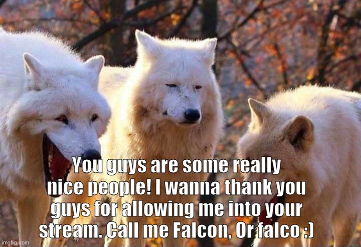 And thank you Darmug for inviting me. | You guys are some really nice people! I wanna thank you guys for allowing me into your stream. Call me Falcon, Or falco :) | image tagged in laughing wolf | made w/ Imgflip meme maker