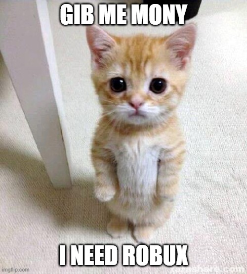 robux > vbucks | GIB ME MONY; I NEED ROBUX | image tagged in memes,cute cat | made w/ Imgflip meme maker