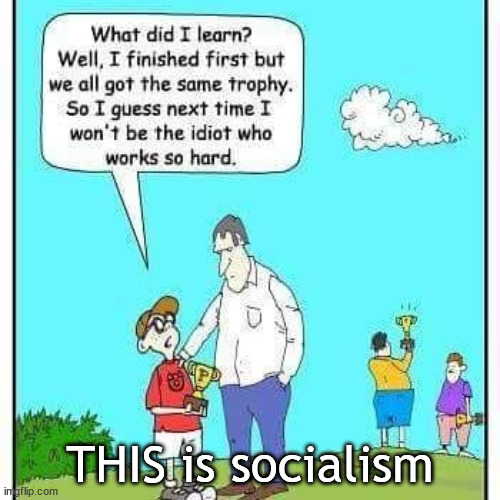 This is socialism | THIS is socialism | image tagged in socialism | made w/ Imgflip meme maker