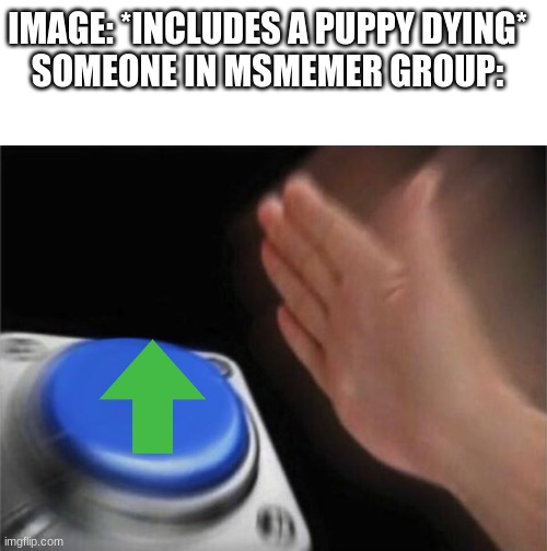 IMAGE: *INCLUDES A PUPPY DYING*
SOMEONE IN MSMEMER GROUP: | image tagged in memes,blank transparent square,blank nut button | made w/ Imgflip meme maker