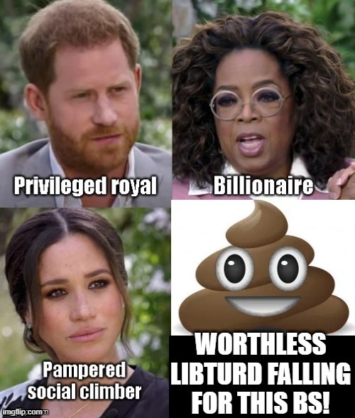 Worthless Libturd Falling For Oprah BS! | image tagged in morons,stupid liberals,idiots,democrats,oprah | made w/ Imgflip meme maker